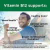 Nature Made Vitamin B12 1000 mcg Softgels;  Dietary Supplement;  270 Count